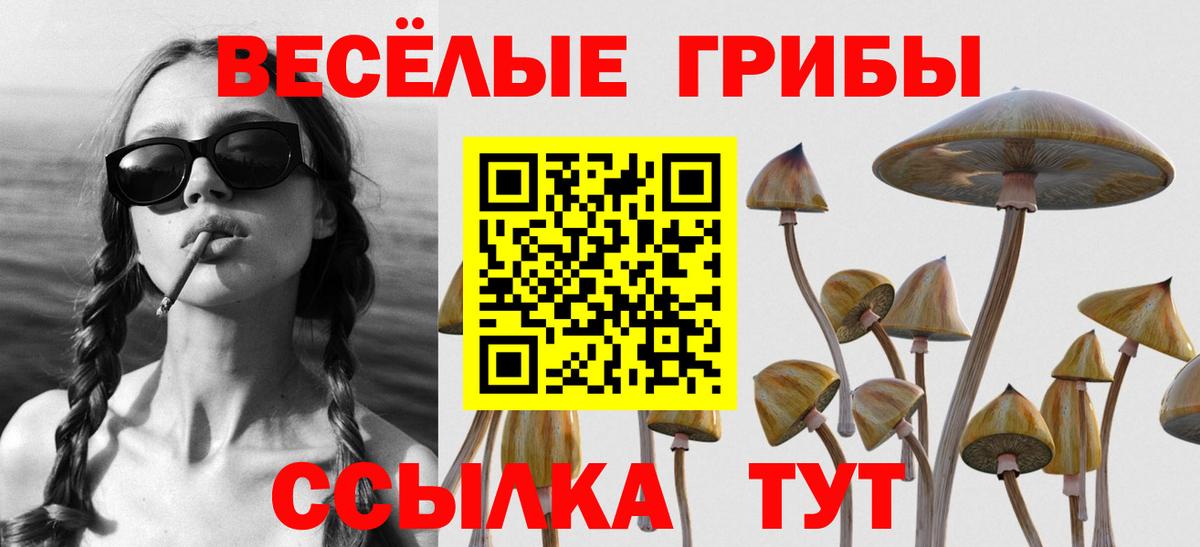 Евпатория  Галлюциногенные грибы прущие грибы  Вход с VPN 